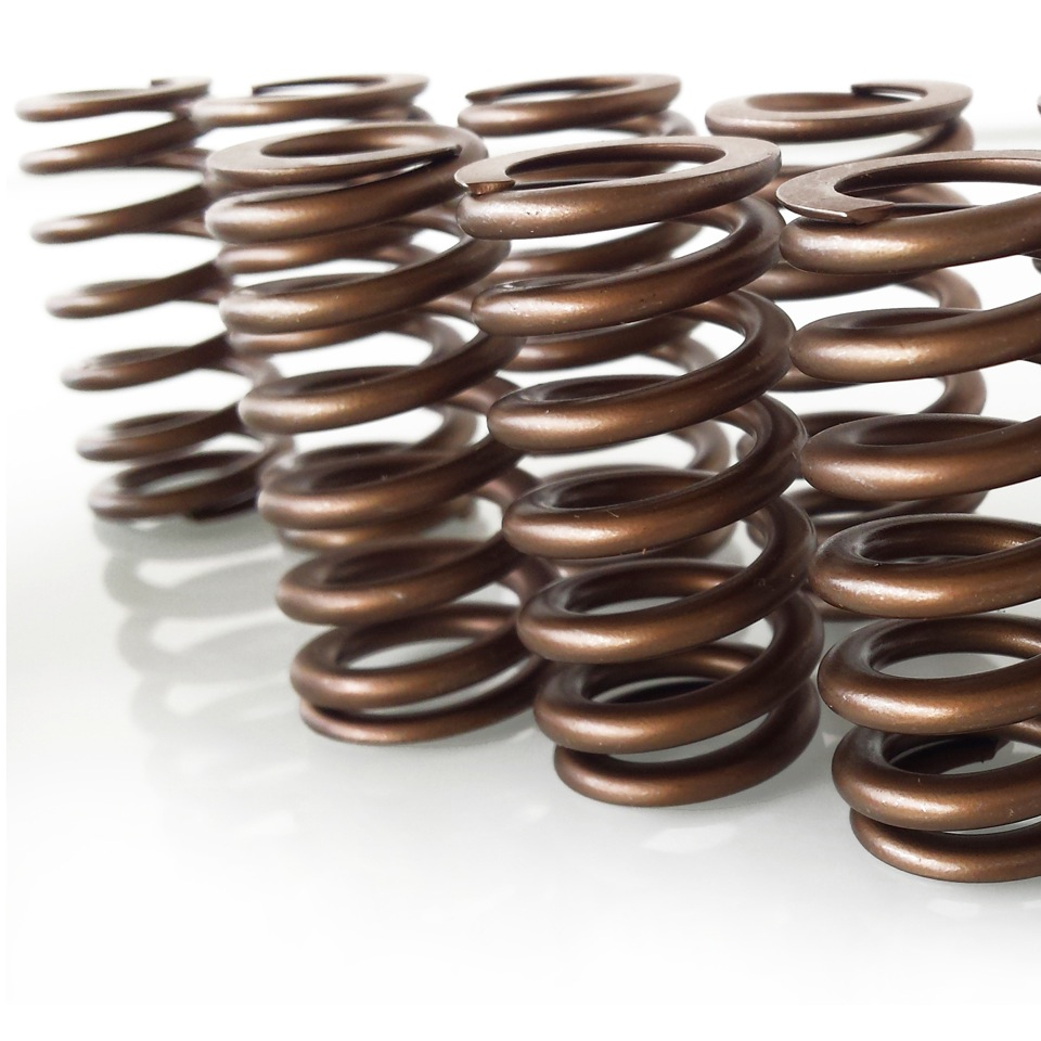2.5L TFSI Audi RS3 & TTRS sport valve spring set BAR-TEK®