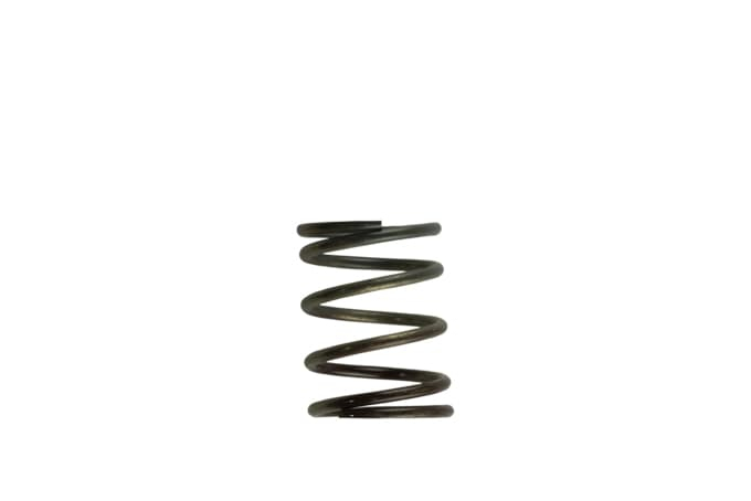 Turbosmart Gen4 IWG WG38/40/45/50L 5PSI innere Feder - Braun/Grün
