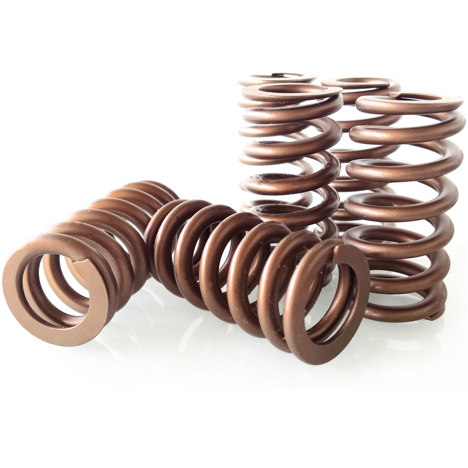 2.5L TFSI Audi RS3 & TTRS sport valve spring set BAR-TEK®