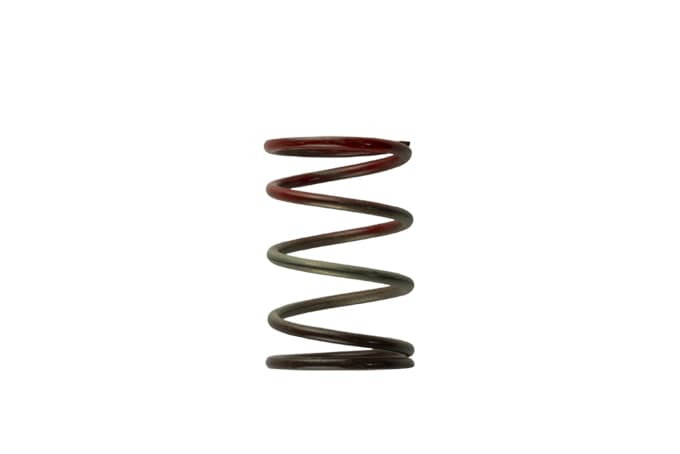 Turbosmart Gen4 WG38/40/45/50L 11PSI ressort moyen - Marron / Rouge
